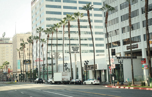 From Detox to Glam: Beverly Hills' Best Addiction Treatment Centers