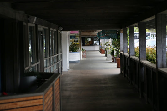 Holistic Havens: Top Wellness Centers for Mind, Body, and Soul