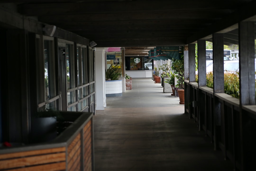 Holistic Havens: Top Wellness Centers for Mind, Body, and Soul